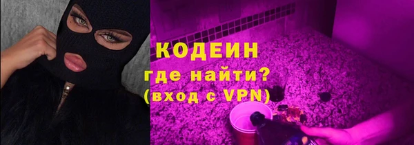 гидра Аркадак