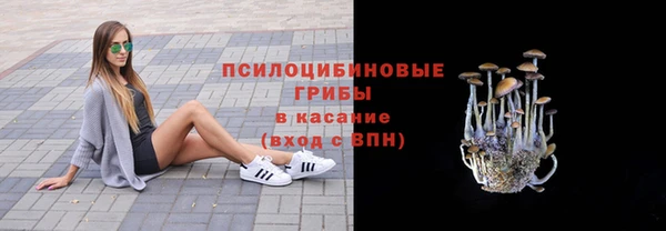 прущие грибы Арсеньев