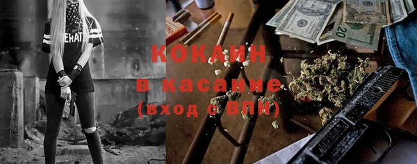 гидра Аркадак
