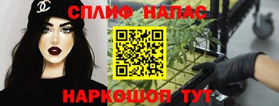 гашик Донской