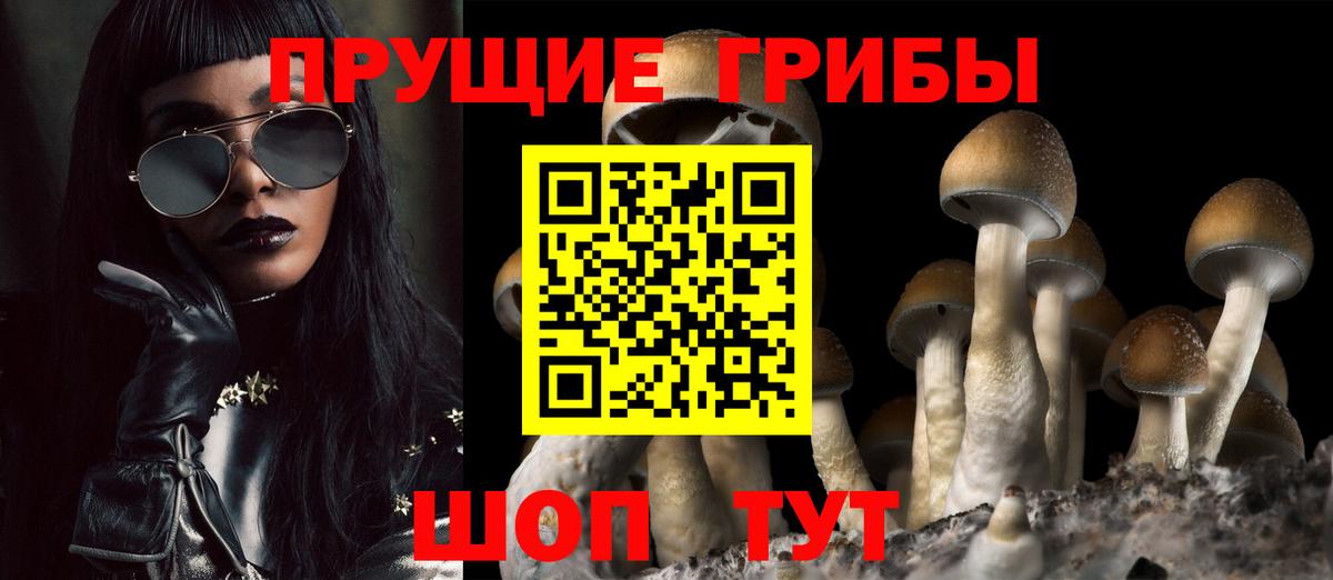 Псилоцибиновые грибы Cubensis  Вход с VPN  Мытищи 